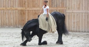 découvrez l'origine fascinante des chevaux frisons et les secrets de leur élevage, une race élégante appréciée pour sa beauté et son tempérament exceptionnel.