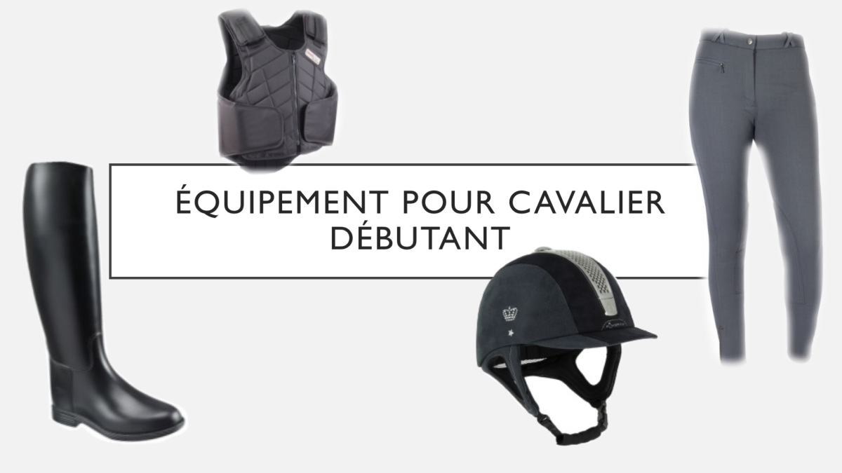découvrez comment bien choisir votre équipement équestre : conseils pratiques, critères de sélection et astuces pour garantir sécurité et confort lors de vos séances à cheval.