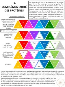 découvrez tout ce que vous devez savoir sur les protéines : rôles, sources alimentaires, besoins quotidiens et conseils pratiques dans notre guide complet sur les protéines.