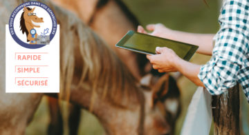 découvrez le rôle de l'ifce et ses services dédiés aux professionnels du cheval : accompagnement, formations, conseils réglementaires et soutien à la filière équine.