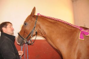 découvrez le rôle de l'ifce (institut français du cheval et de l'équitation) et ses principaux services dédiés aux professionnels de la filière équine : formations, accompagnement, réglementation et innovations au service du monde du cheval.