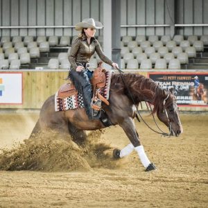découvrez les bases du reining pour débutants : conseils, techniques simples et astuces pour démarrer facilement cette discipline équestre western.