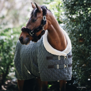 découvrez quelle couverture d'assurance est idéale pour votre cheval et protégez-le efficacement contre les risques liés à sa santé et à sa responsabilité.