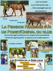 découvrez nos conseils pour choisir la meilleure pension pour chevaux, alliant confort, sécurité et bien-être pour votre animal.