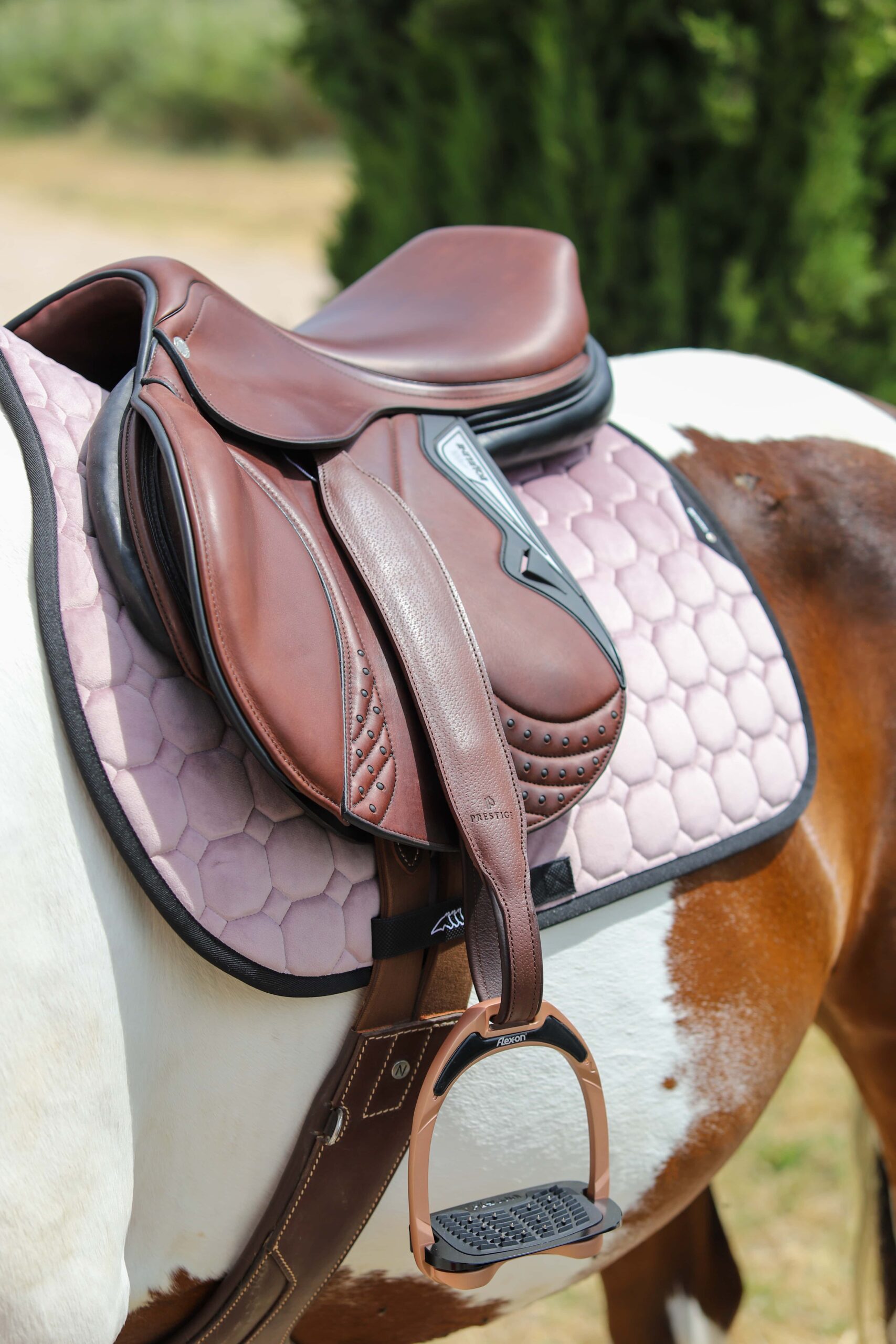 découvrez comment choisir la selle western idéale pour votre cheval, alliant confort, sécurité et style pour des balades réussies.