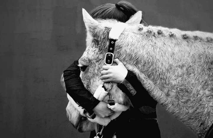 découvrez nos conseils photo pour capturer la beauté et la puissance des chevaux avec des clichés réussis et expressifs.