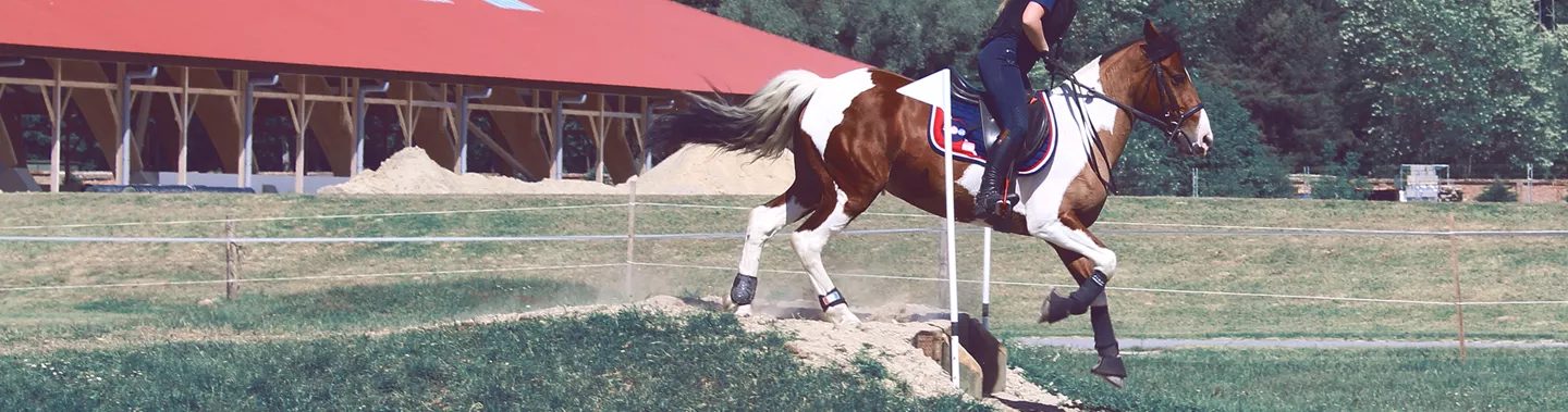 découvrez nos conseils pratiques et l'équipement essentiel pour bien débuter le horse ball, un sport équestre dynamique et convivial.