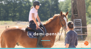 découvrez les avantages de la demi-pension cheval et nos conseils pratiques pour bien en profiter, que vous soyez cavalier débutant ou confirmé.