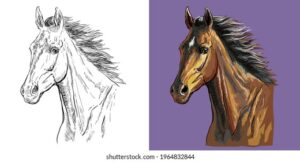 découvrez comment réaliser un dessin réaliste et simple d'une tête de cheval avec nos astuces et techniques faciles à suivre, parfaites pour débutants et passionnés.