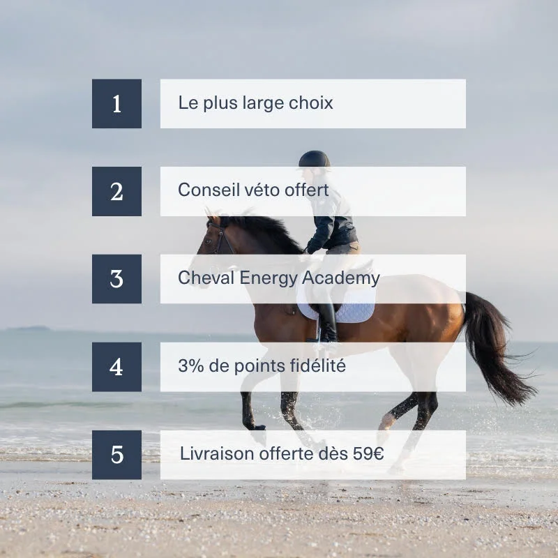 découvrez notre gamme complète d’équipements d’immobilisation pour chevaux, alliant confort et sécurité pour le bien-être de votre animal.