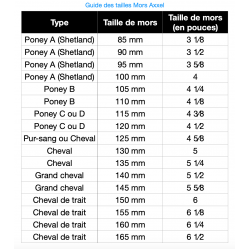 découvrez notre guide complet pour choisir le mors idéal pour votre cheval, alliant confort, contrôle et respect de l'animal.