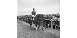 découvrez l'histoire fascinante et les informations essentielles sur l'hippodrome de parilly, un lieu emblématique des courses hippiques en france.