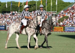 découvrez l'univers du polo sport : son histoire fascinante, les règles du jeu essentielles et les équipements indispensables pour pratiquer ce sport équestre passionnant.