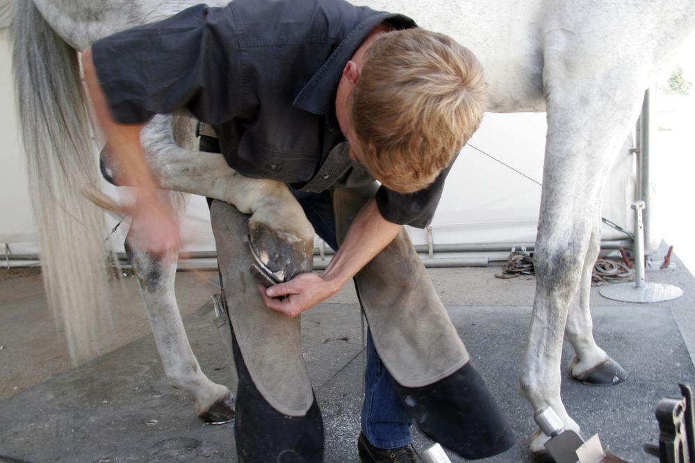 découvrez le métier de maréchal-ferrant : ses missions, ses techniques de ferrage des chevaux et son rôle essentiel dans le bien-être équin. informations, formation et conseils pratiques pour passionnés d'équitation.