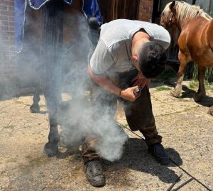 découvrez le métier de maréchal-ferrant : formation, missions, compétences requises et conseils pour réussir dans la ferronnerie équine. un artisanat essentiel pour le bien-être des chevaux.