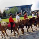 découvrez les meilleurs centres équestres à paris pour apprendre l'équitation, profiter de promenades à cheval et participer à des cours adaptés à tous les niveaux.