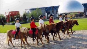 découvrez les meilleurs centres équestres à paris pour apprendre l'équitation, profiter de promenades à cheval et participer à des cours adaptés à tous les niveaux.
