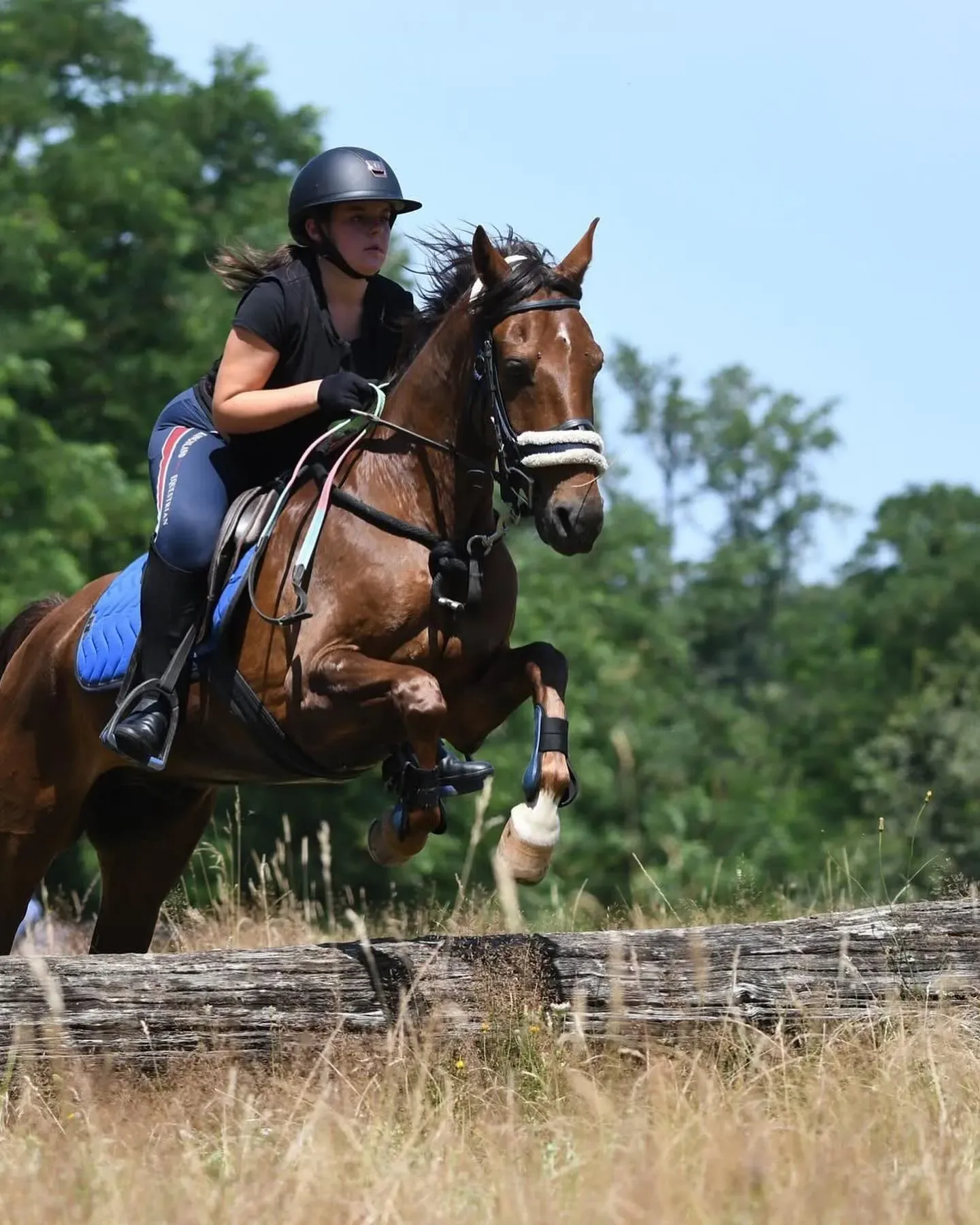 découvrez les meilleurs centres équestres à paris pour apprendre l'équitation, pratiquer le dressage ou profiter de balades à cheval en famille.