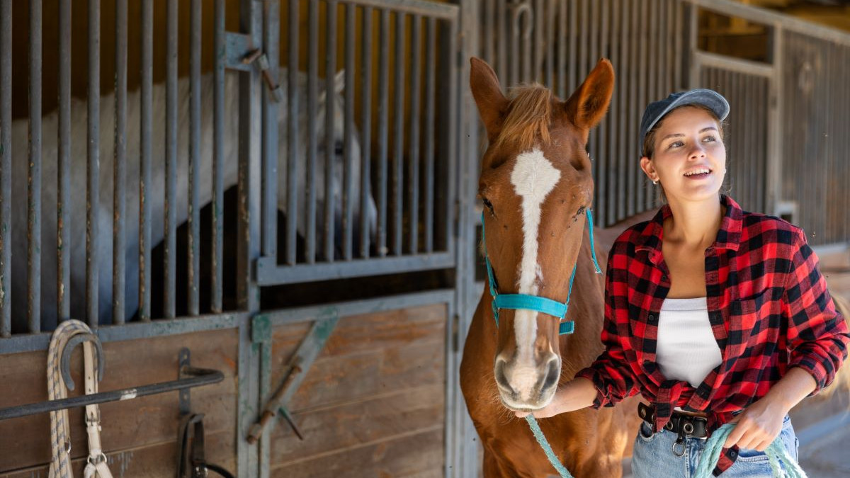 découvrez les différentes races de chevaux et leurs spécificités uniques, de leur origine à leurs caractéristiques physiques et comportementales.