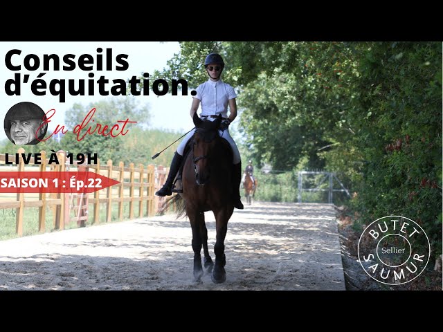 découvrez nos conseils essentiels pour réussir le débourrage de votre cheval en toute sérénité et instaurer une relation de confiance dès le début.