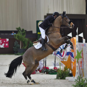 découvrez la selle français, un cheval d’exception alliant élégance et performance, idéal pour les passionnés d’équitation exigeants.