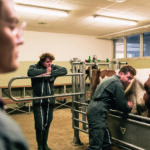 découvrez nos conseils pour bien choisir une école vétérinaire et réussir votre parcours professionnel dans le domaine animalier.