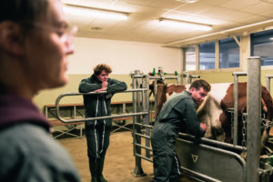 découvrez nos conseils pour bien choisir une école vétérinaire et réussir votre parcours professionnel dans le domaine animalier.