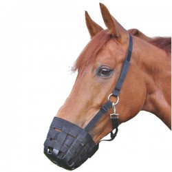 découvrez comment réagir rapidement en cas de colique chez le cheval pour assurer sa sécurité et son bien-être. conseils d'urgence essentiels pour propriétaires et cavaliers.