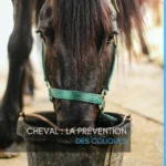 découvrez comment reconnaître, comprendre et agir efficacement face à la colique du cheval pour assurer sa santé et son bien-être.