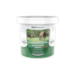 découvrez les bienfaits de l'harpagophytum pour les chevaux ainsi que les précautions à prendre avant utilisation pour assurer leur santé et leur bien-être.