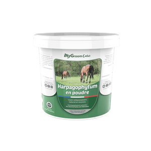 découvrez les bienfaits de l'harpagophytum pour les chevaux ainsi que les précautions à prendre avant utilisation pour assurer leur santé et leur bien-être.