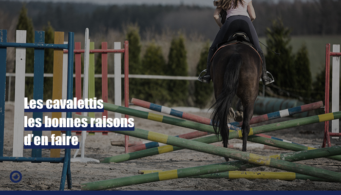 découvrez des conseils efficaces pour progresser à cheval et améliorer votre équitation, que vous soyez débutant ou cavalier confirmé.