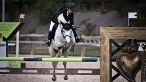 découvrez des conseils et techniques pour progresser efficacement à cheval, améliorer votre équilibre, votre connexion avec l'animal et votre maîtrise de l'équitation.