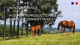découvrez les étapes clés pour réussir la saillie du cheval et assurer une reproduction optimale. guide pratique pour éleveurs et passionnés d'équitation.