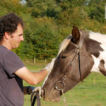 découvrez nos conseils essentiels pour réussir la vente de votre cheval rapidement et au meilleur prix. guide complet pour vendeurs de chevaux.