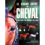 découvrez notre guide complet sur la saillie du cheval, incluant les meilleures pratiques, conseils d'experts et informations essentielles pour réussir la reproduction équine.