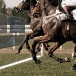 découvrez la vitesse maximale des chevaux et les facteurs qui influencent leurs performances, incluant l'âge, la race, l'entraînement et l'environnement.