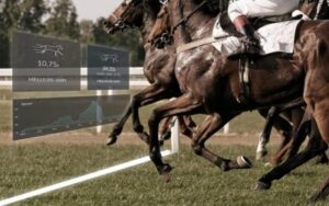 découvrez la vitesse maximale des chevaux et les facteurs qui influencent leurs performances, incluant l'âge, la race, l'entraînement et l'environnement.