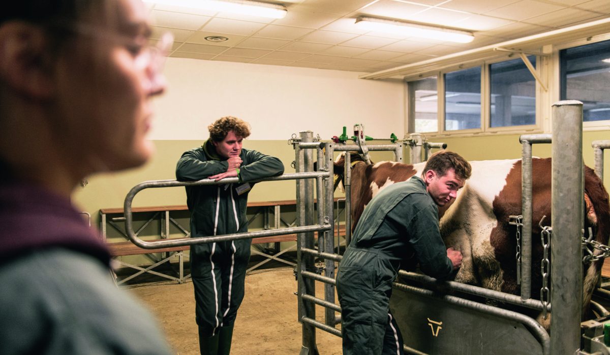 découvrez nos conseils pour bien choisir une école vétérinaire et réussir votre parcours professionnel dans le domaine animalier.