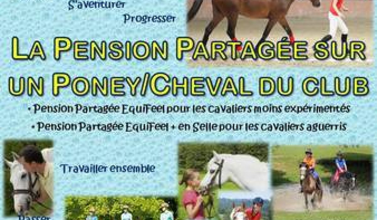 découvrez nos conseils pour choisir la meilleure pension pour chevaux, alliant confort, sécurité et bien-être pour votre animal.