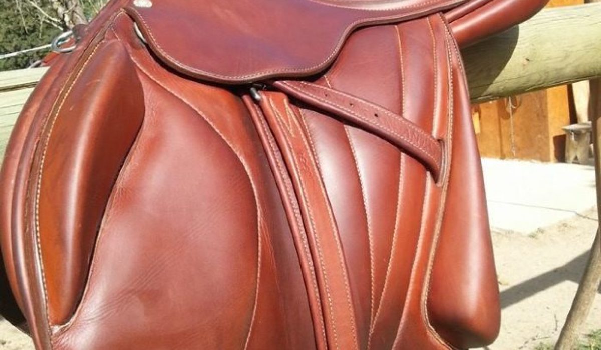 découvrez comment choisir une selle adaptée pour votre confort et sécurité, que ce soit pour l'équitation, le vélo ou la moto.