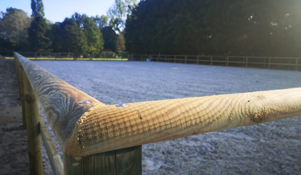 découvrez nos solutions de clôtures de sécurité spécialement conçues pour protéger vos chevaux, assurant leur bien-être et votre tranquillité d'esprit.