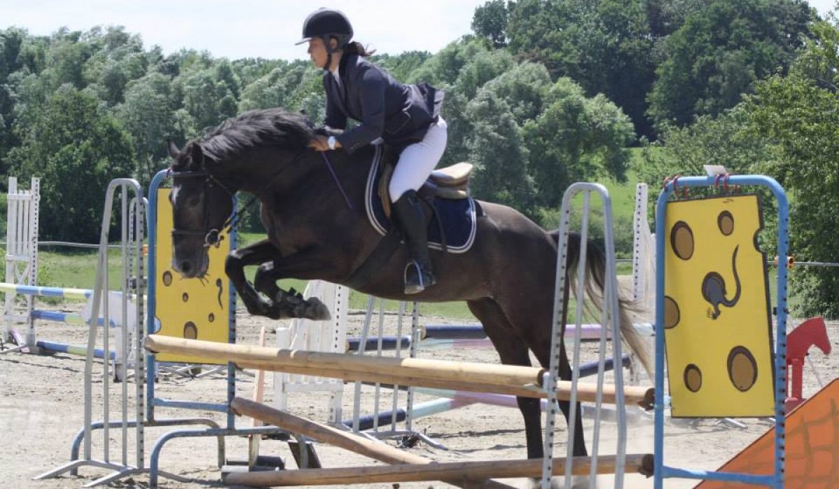 découvrez nos solutions de chronométrage précises pour le cso (concours de saut d'obstacles), assurant un timing fiable et performant pour vos compétitions équestres.