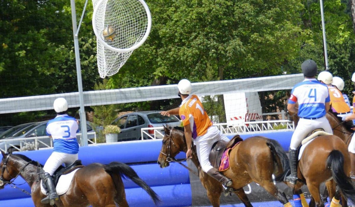 découvrez nos conseils essentiels et l'équipement nécessaire pour bien débuter le horse ball, un sport équestre dynamique et convivial.