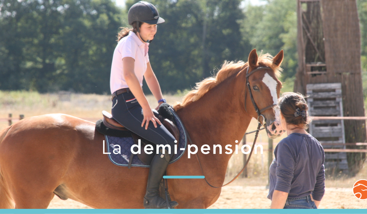 découvrez les avantages de la demi-pension cheval et nos conseils pratiques pour bien en profiter, que vous soyez cavalier débutant ou confirmé.