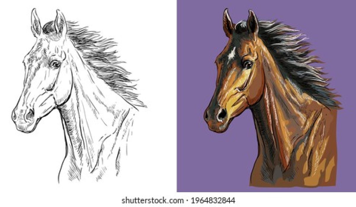 découvrez comment réaliser un dessin réaliste et simple d'une tête de cheval avec nos astuces et techniques faciles à suivre, parfaites pour débutants et passionnés.