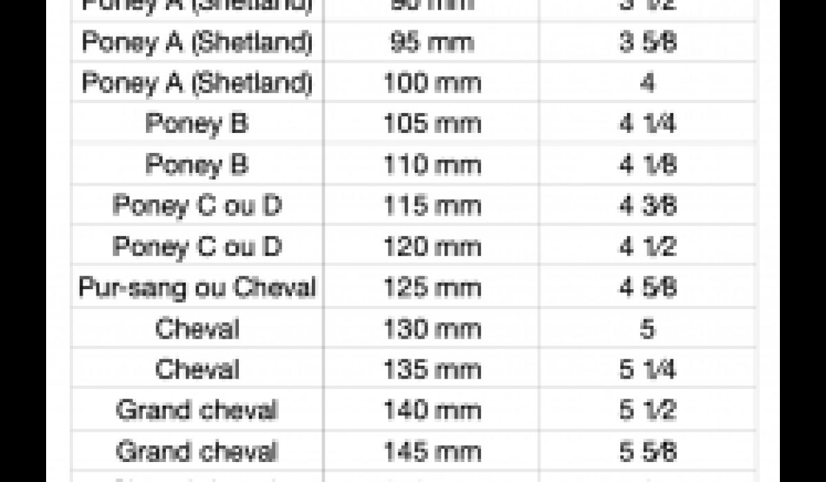 découvrez notre guide complet pour choisir le mors idéal pour votre cheval, alliant confort, contrôle et respect de l'animal.