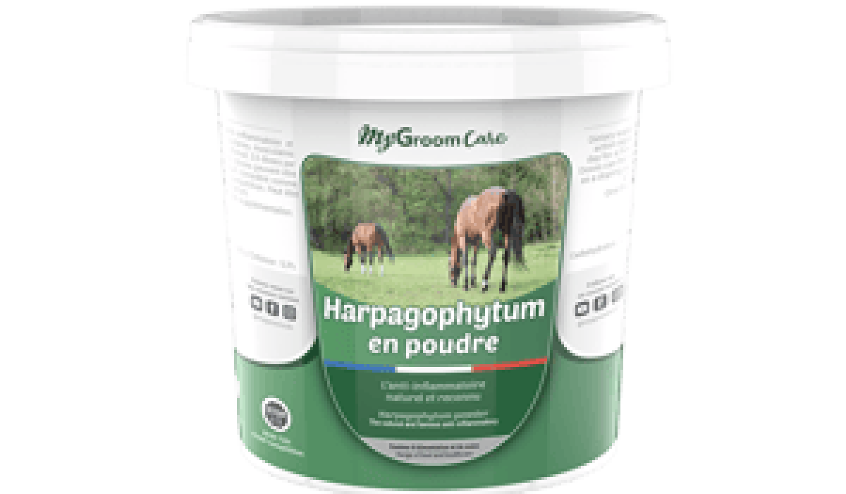 découvrez les bienfaits de l'harpagophytum pour les chevaux ainsi que les précautions à prendre avant utilisation pour assurer leur santé et leur bien-être.