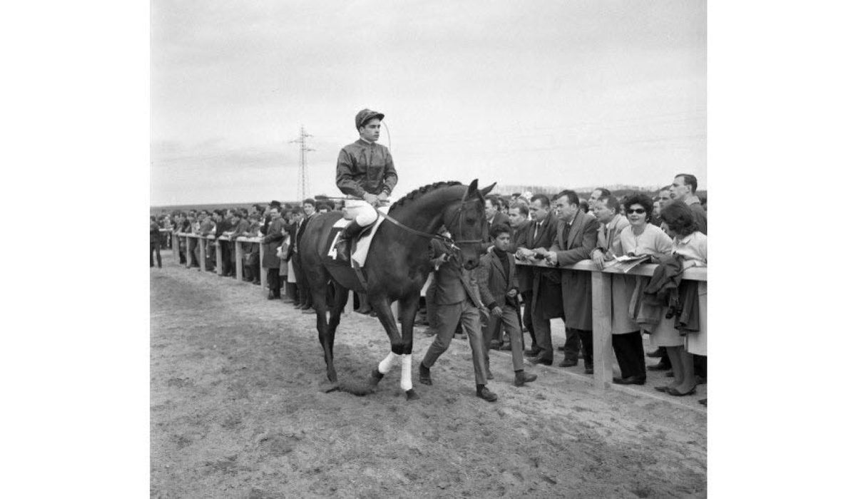 découvrez l'histoire fascinante et les informations essentielles sur l'hippodrome de parilly, un lieu emblématique des courses hippiques en france.