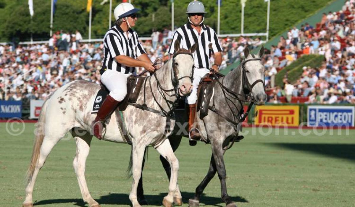 découvrez l'univers du polo sport : son histoire fascinante, les règles du jeu essentielles et les équipements indispensables pour pratiquer ce sport équestre passionnant.